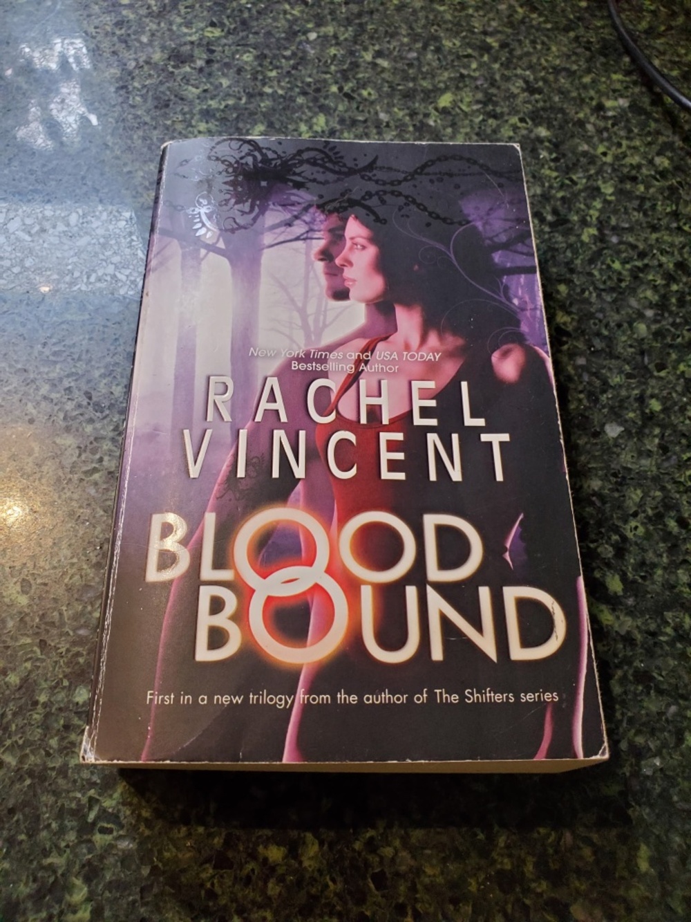 Book by Rachel Vincent blood bound